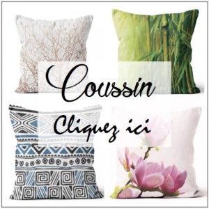 Coussin déhoussable 40x40cm